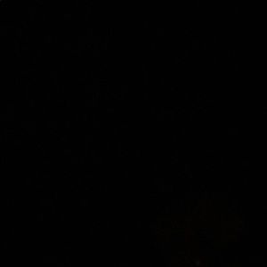 Meet your Posher, Diego